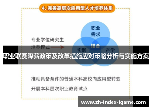 职业联赛降薪政策及改革措施应对策略分析与实施方案