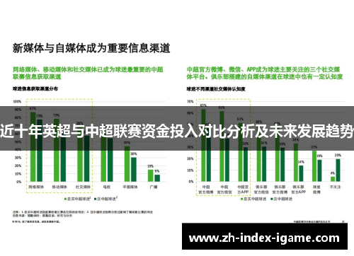 近十年英超与中超联赛资金投入对比分析及未来发展趋势
