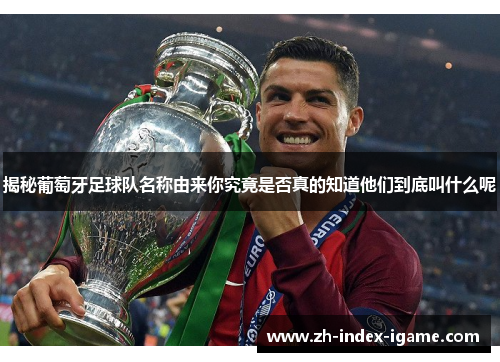 揭秘葡萄牙足球队名称由来你究竟是否真的知道他们到底叫什么呢