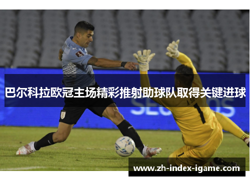 巴尔科拉欧冠主场精彩推射助球队取得关键进球